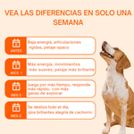 Pawprint: La fórmula que retrasa la edad de tu compañero