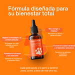 Pawprint: La fórmula que retrasa la edad de tu compañero