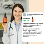 Pawprint: La fórmula que retrasa la edad de tu compañero