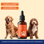 Pawprint: La fórmula que retrasa la edad de tu compañero