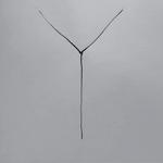 Floralis™ - Sensación de Firmeza y Frescura Natural